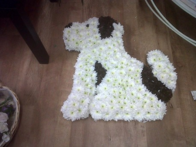 DOG FUNERAL TRIBUTE - BASED IN WHITE CHRYSANTHEMUMS AND SPRAYED  IN REQUESTED COLOURS
